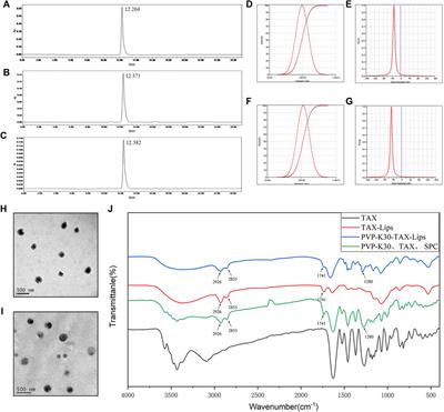 Polyvinylpyrrolidone-Modified Taxifolin Liposomes Promote Liver Repair by Modulating Autophagy to Inhibit Activation of the TLR4/NF-κB Signaling Pathway